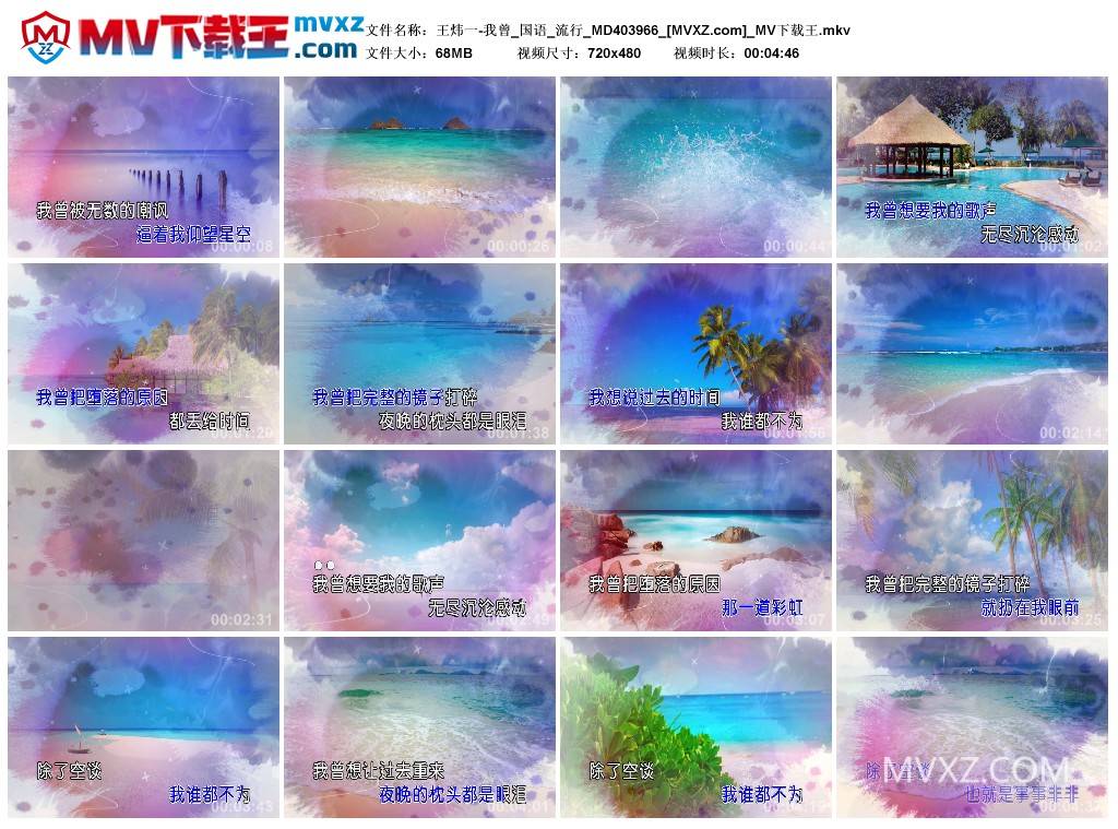 王炜一-我曾_国语_流行_MD403966